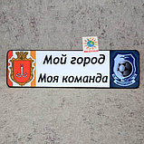 Номер на коляску с именем или надписью, а также изображением герба футбольной команды и города, фото 2