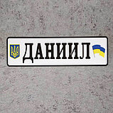 Номер на коляску с государственными символами и именем ребенка, фото 5