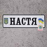 Номер на коляску с государственными символами и именем ребенка, фото 6