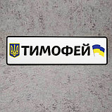 Номер на коляску с государственными символами и именем ребенка, фото 7