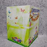 Диплом и медаль именная для выпускника детского сада Фиалки, фото 8