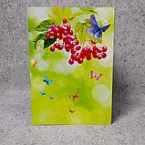 Диплом об окончании детского сада "Калинка", фото 4