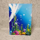 Диплом об окончании детского сада "Жемчужинка", фото 4