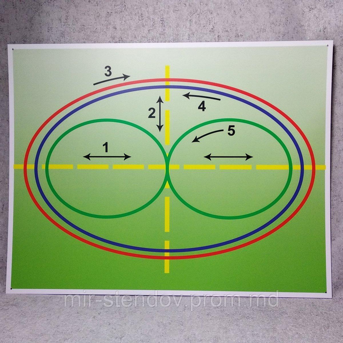 Тренажер для глаз Базарного. Пластиковый стенд, фото 1