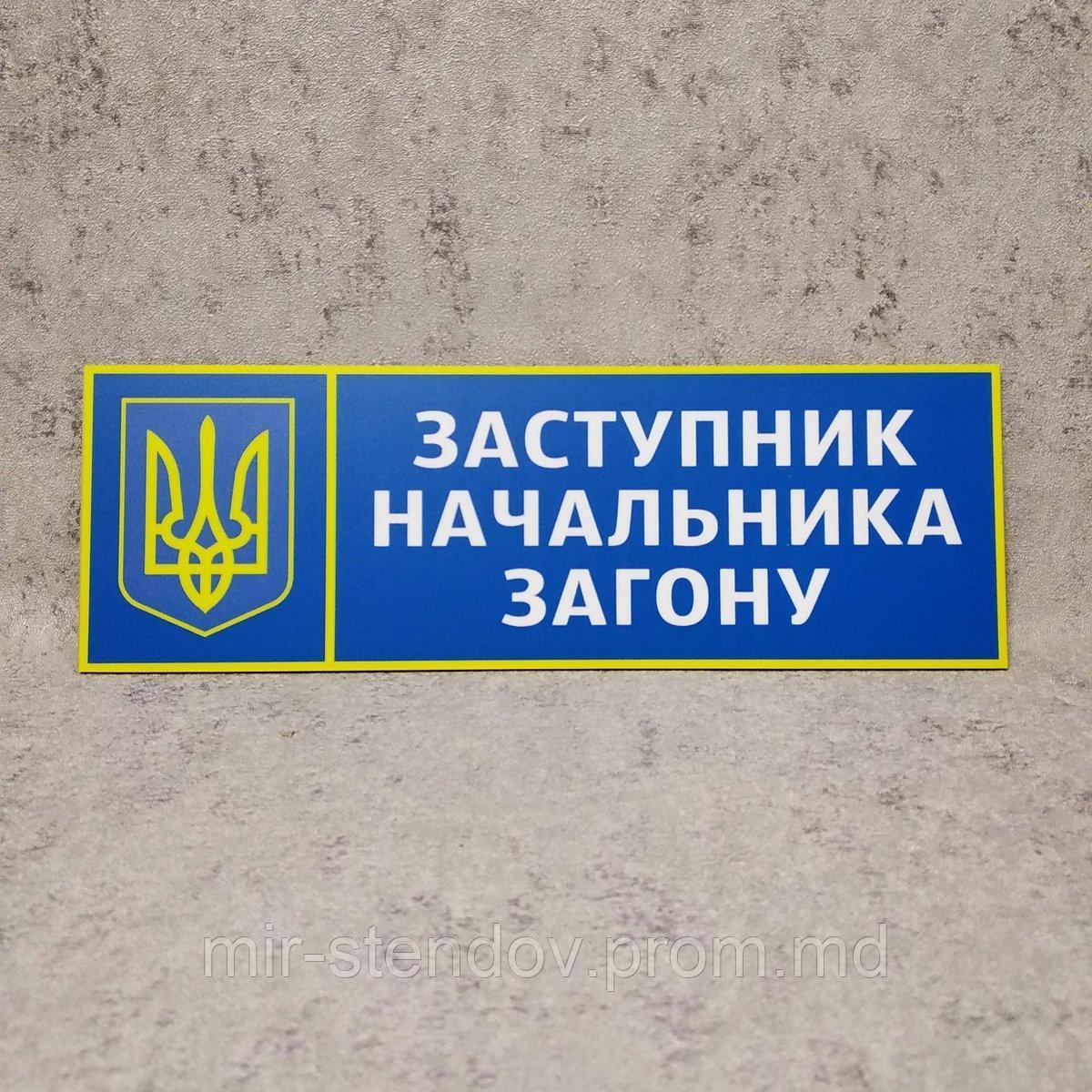 Табличка Заместитель начальника отряда. "Силовые структуры", фото 1