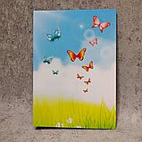 Диплом и медаль именная именная для выпускника детского сада Бабочки, фото 2