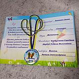 Диплом и медаль именная именная для выпускника детского сада Бабочки, фото 8