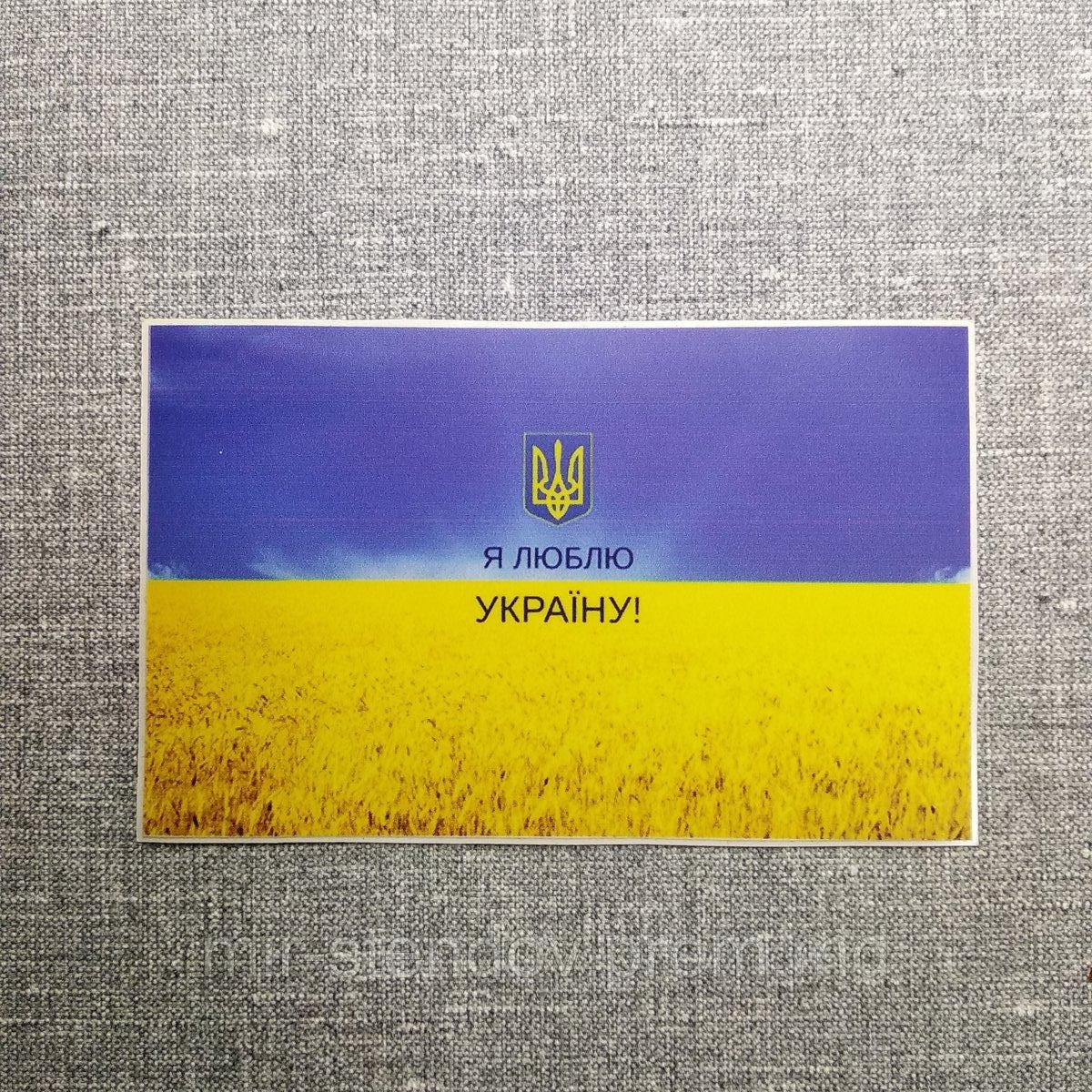 Наклейка на авто Флаг и герб Украины, фото 1