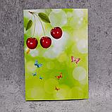 Диплом об окончании детского сада "Вишенка", фото 3