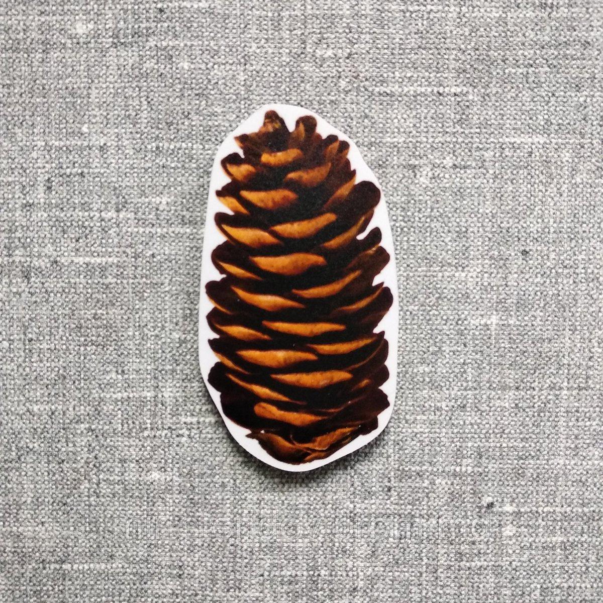 Шишка магнит. Фигурка для магнитной доски, фото 1