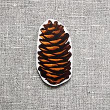 Шишка магнит. Фигурка для магнитной доски