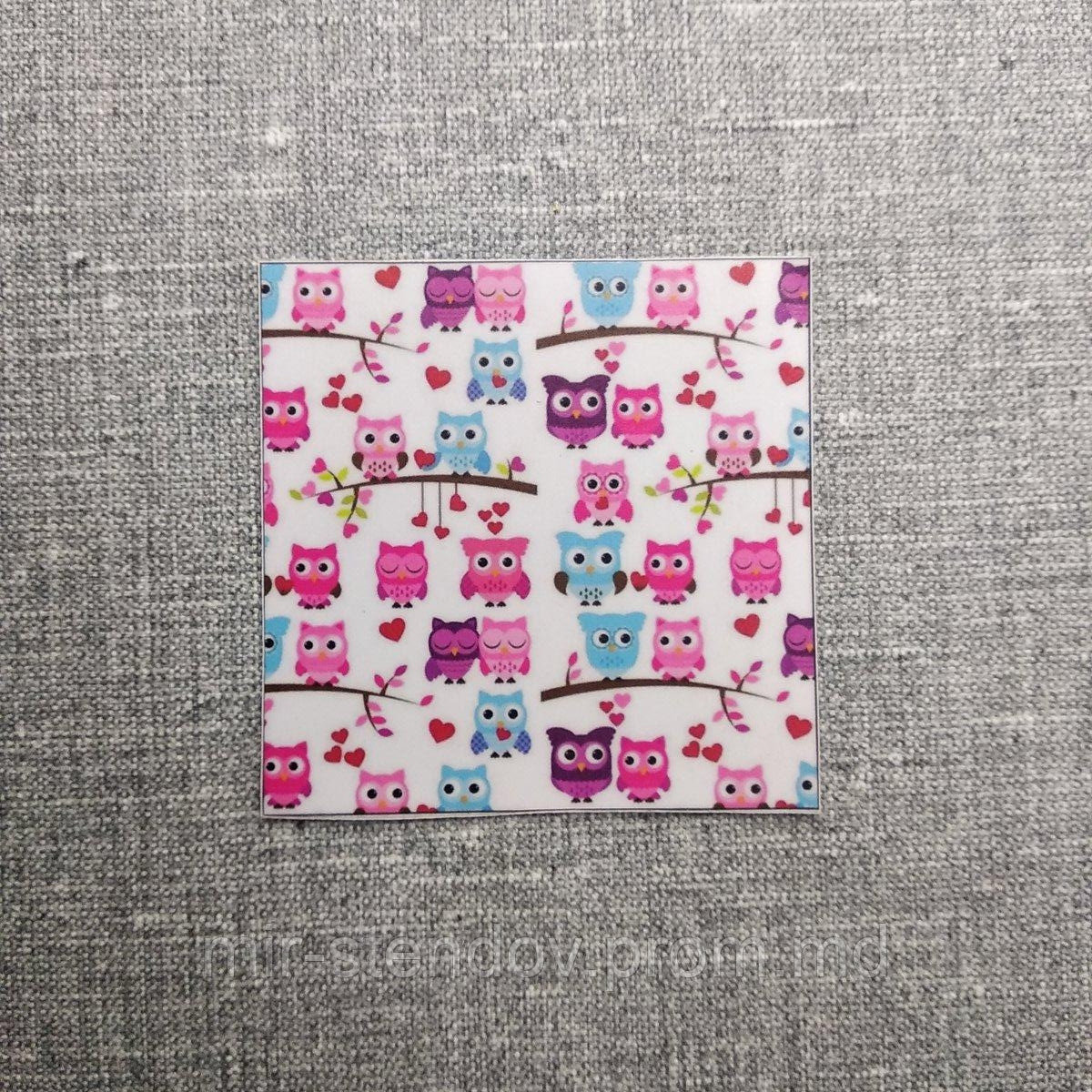 Наклейка на выключатель и розетку Совы, фото 1