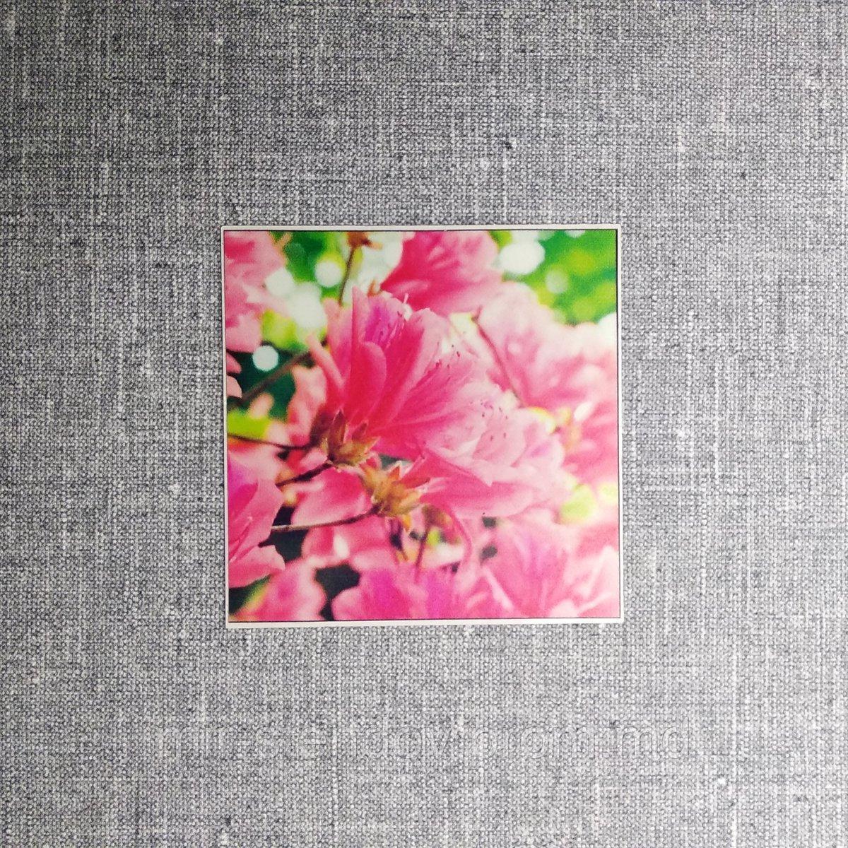 Наклейка на выключатель Розовые цветы - фото 1 - id-p5997305