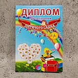 Диплом и медаль с фотографией выпускника детского сада. "Ромашка", фото 2