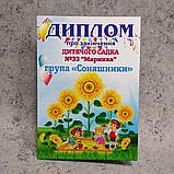 Диплом об окончании детского сада "Подсолнухи", фото 2