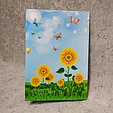 Диплом и медаль именная для выпускника детского сада "Подсолнухи", фото 6