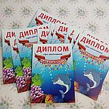 Диплом и медаль именная для выпускника детского сада Дельфинчики, фото 2