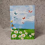 Диплом для выпускника детского сада "Познайко", "Ромашки", фото 2