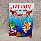 Диплом и медаль с фото для выпускника детского сада Золотая рыбка, фото 2