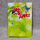 Диплом и медаль именная для выпускника детского сада "Солнышко", "Калинка", фото 9