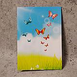 Диплом для выпускника детского сада "Волошки", "Радуга", "Солнышко", фото 7