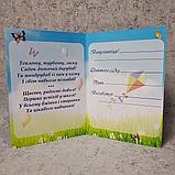 Диплом для выпускника детского сада "Волошки", "Радуга", "Солнышко", фото 8