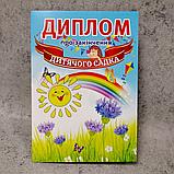 Диплом для выпускника детского сада "Волошки", "Радуга", "Солнышко", фото 9