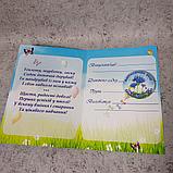 Диплом и значок для выпускника детского сада "Василёк", фото 2