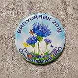 Диплом и значок для выпускника детского сада "Василёк", фото 6