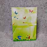 Диплом и медаль именная для выпускника группы детского сада "Познайко", фото 7