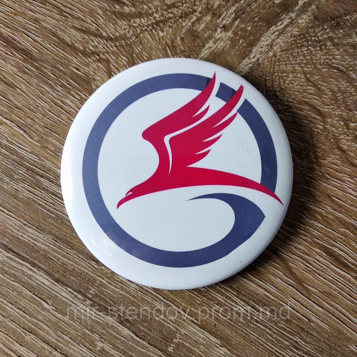 Значок с логотипом военно-спортивной  команды "Сокол", фото 1