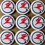 Значок с логотипом военно-спортивной  команды "Сокол", фото 3