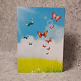 Диплом выпускника д/с "Журавлик", фото 3