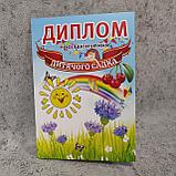 Диплом и медаль именная для выпускника д/с "Вишенка", фото 7