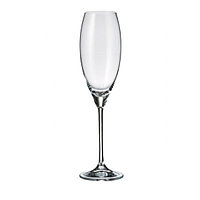 Набор бокалов для шампанского Bohemia Cecilia(Carduelis) 290 мл 6 пр b1SF06