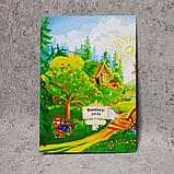 Диплом и медаль именная для выпускника д/с "Сказка" група "Колосок", фото 8