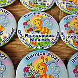 Диплом и значок именной для выпускника группы "Пчёлка" д/с "Солнышко", фото 4
