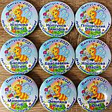 Диплом и значок именной для выпускника группы "Пчёлка" д/с "Солнышко", фото 9