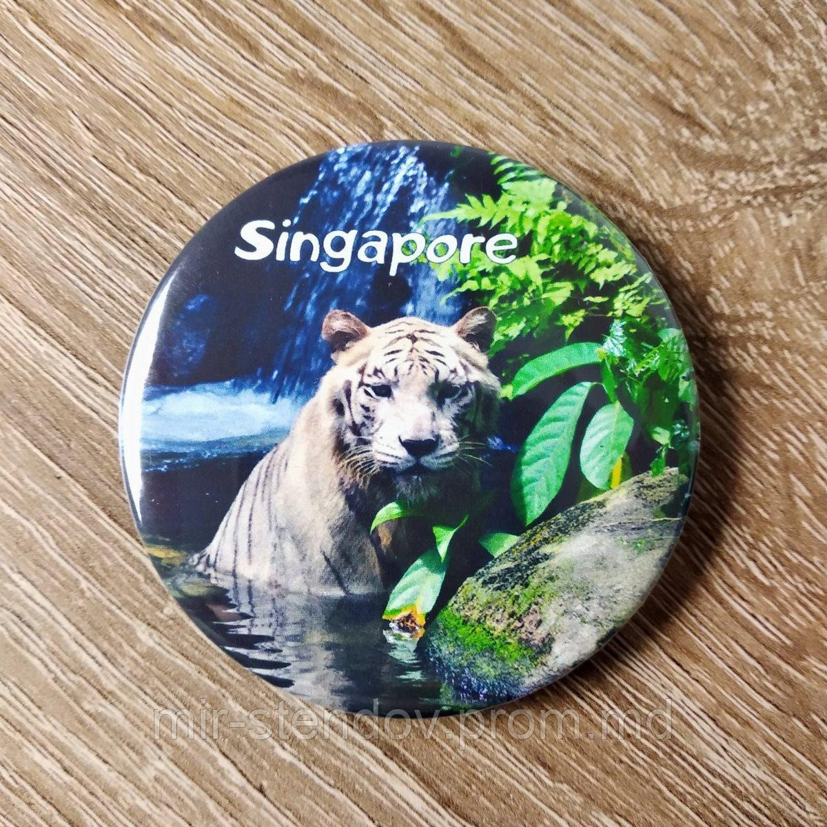Сувенирный магнит "Сингапур" - фото 1 - id-p10470940