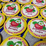 Медаль именная выпускника группы д/с "Клубничка", фото 2