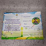 Диплом и значок с фото выпускникаа д/с "Пчёлка", группа "Звоночки", фото 4