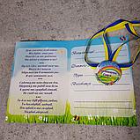 Диплом и медаль именная для выпускника группы "Радуга",  д/с "Теремок", фото 3