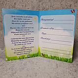 Диплом и медаль именная для выпускника группы "Радуга",  д/с "Теремок", фото 5