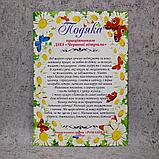 Благодарность для сотрудников детского сада с текстом. "Ромашки", фото 2