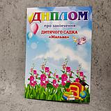 Диплом и медаль именная для выпускника д/с "Мальва", фото 4