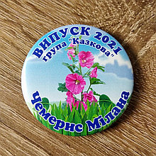 Именной значок Выпускник д/с "Мальва",  группа "Сказочная"