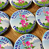 Именной значок Выпускник д/с "Мальва",  группа "Сказочная", фото 2