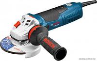 Bosch GWS 17-125 CIE Professional (060179H003)