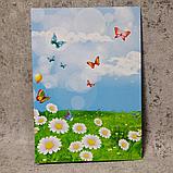 Диплом а также именная медаль для выпускника д/с "Ромашка", группа "Почемучки", фото 4