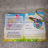 Диплом а также именная медаль для выпускника д/с "Ромашка", группа "Почемучки", фото 7